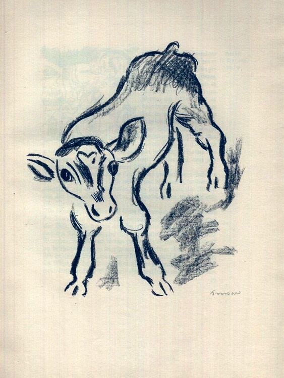 Richard Seewald, 1921. Lithograph: Standing calf in bold black lines on a yellow sheet.