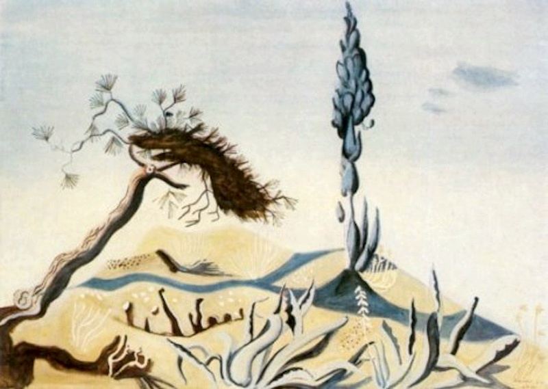 Richard Seewald, Radierung: Windschiefe Pinie und blaue Zypresse auf einer gelben Anhöhe mit Agaven vor hellem Himmel; zarte Pastelltöne.