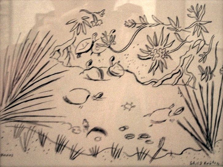 Richard Seewald, Zeichnung: Federzeichnung mit Schildkröten, Vögeln und Pflanzen um einen Teich, Palmwedel seitlich.